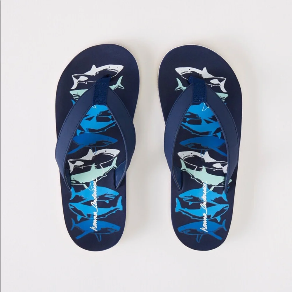 NWT Hanna Andersson Shark Flip Flops Size 2